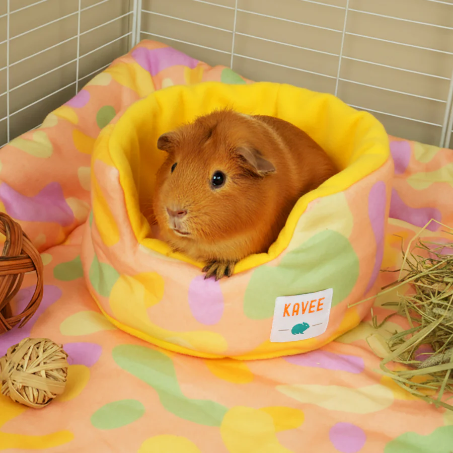 Guinea Pig Cuddle Cup | Pigcasso Collection - Image 3