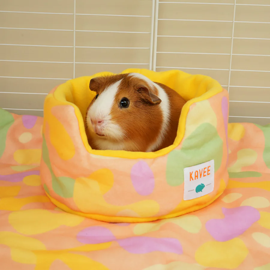 Guinea Pig Cuddle Cup | Pigcasso Collection - Image 5