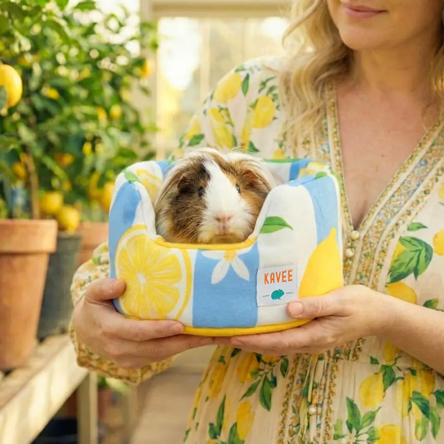 Cuddle Cup for Guinea Pigs | Amalfi Collection - Image 4