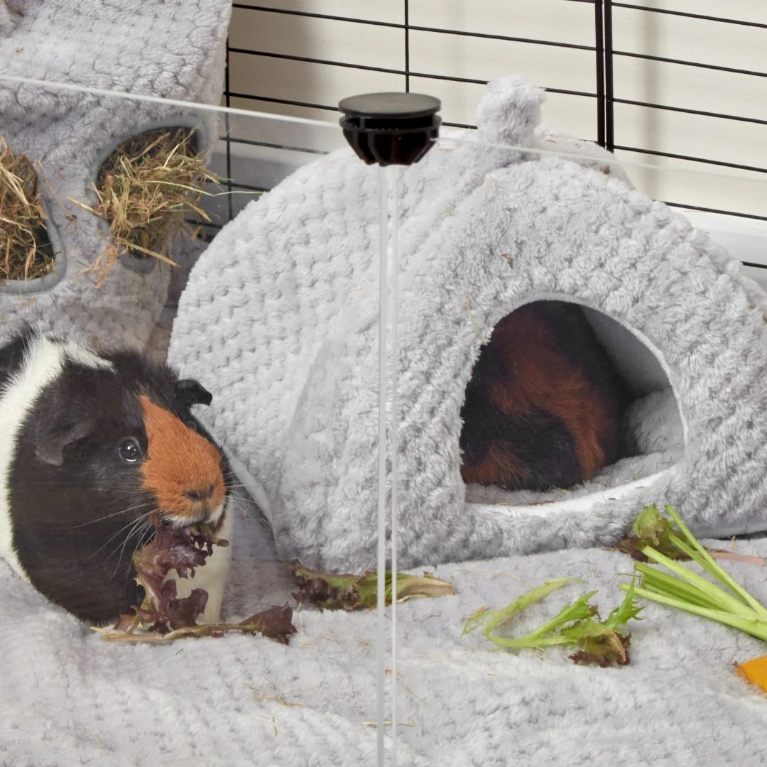 Extra Soft Fleece Hide for Guinea Pigs | Gray - Image 4