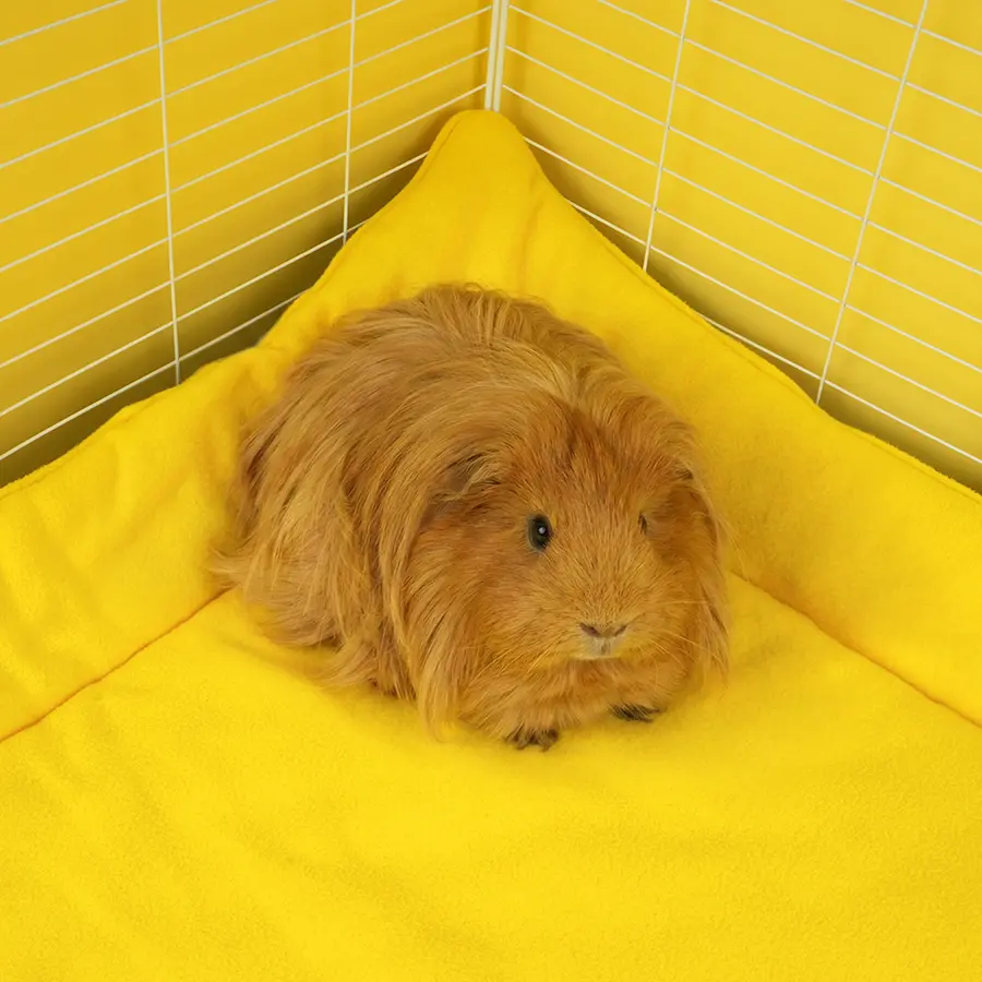 Plush Fleece Liner for Guinea Pigs | Lemon Amalfi Collection - Image 3