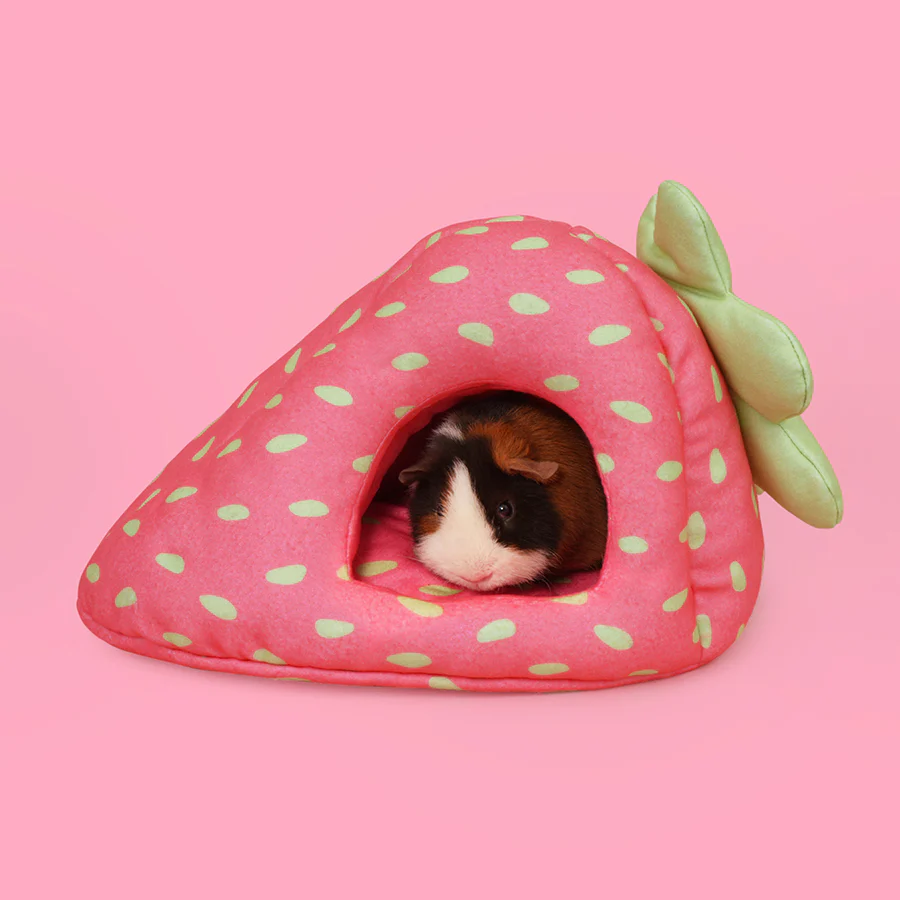 Hide for guinea pigs | Strawberry - Image 3