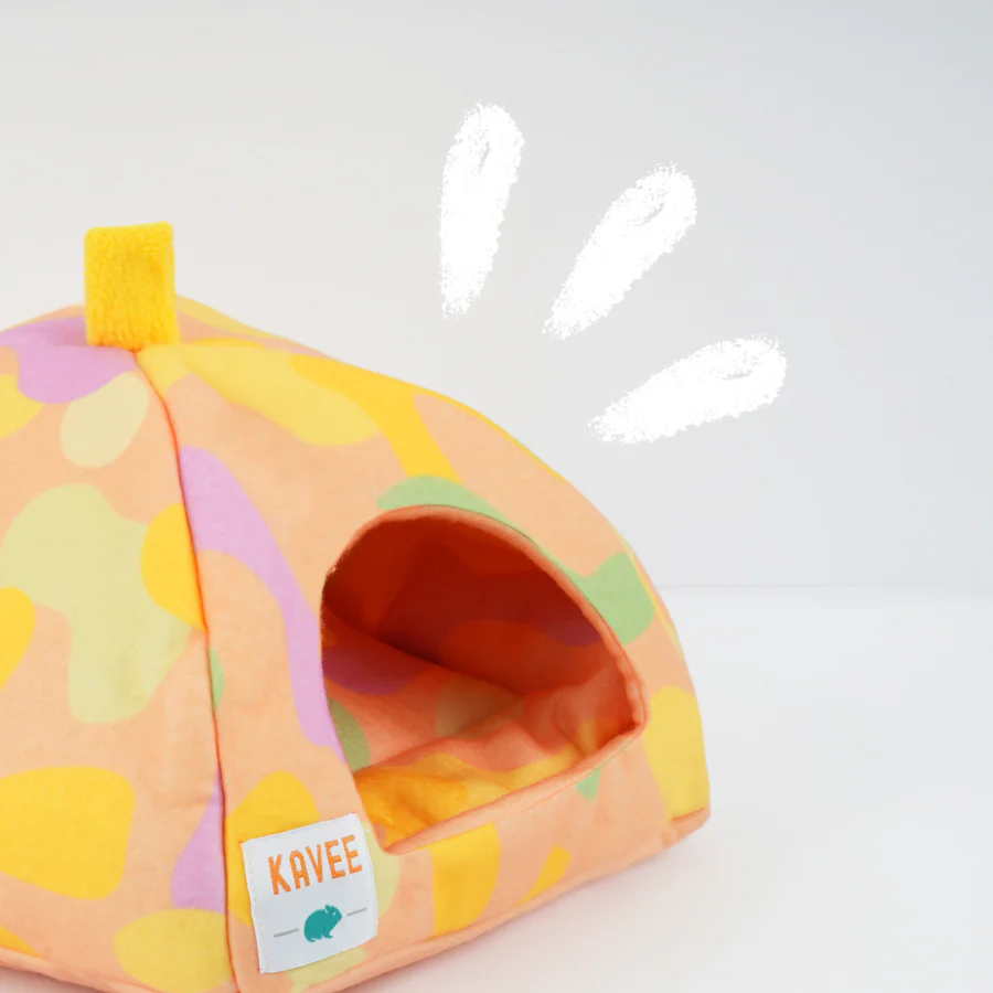 Guinea Pig Hide | Pigcasso Collection - Image 3