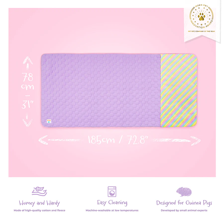 Pocket Fleece Pocket Liner for Guinea Pigs | Rainbow Collection - Image 7