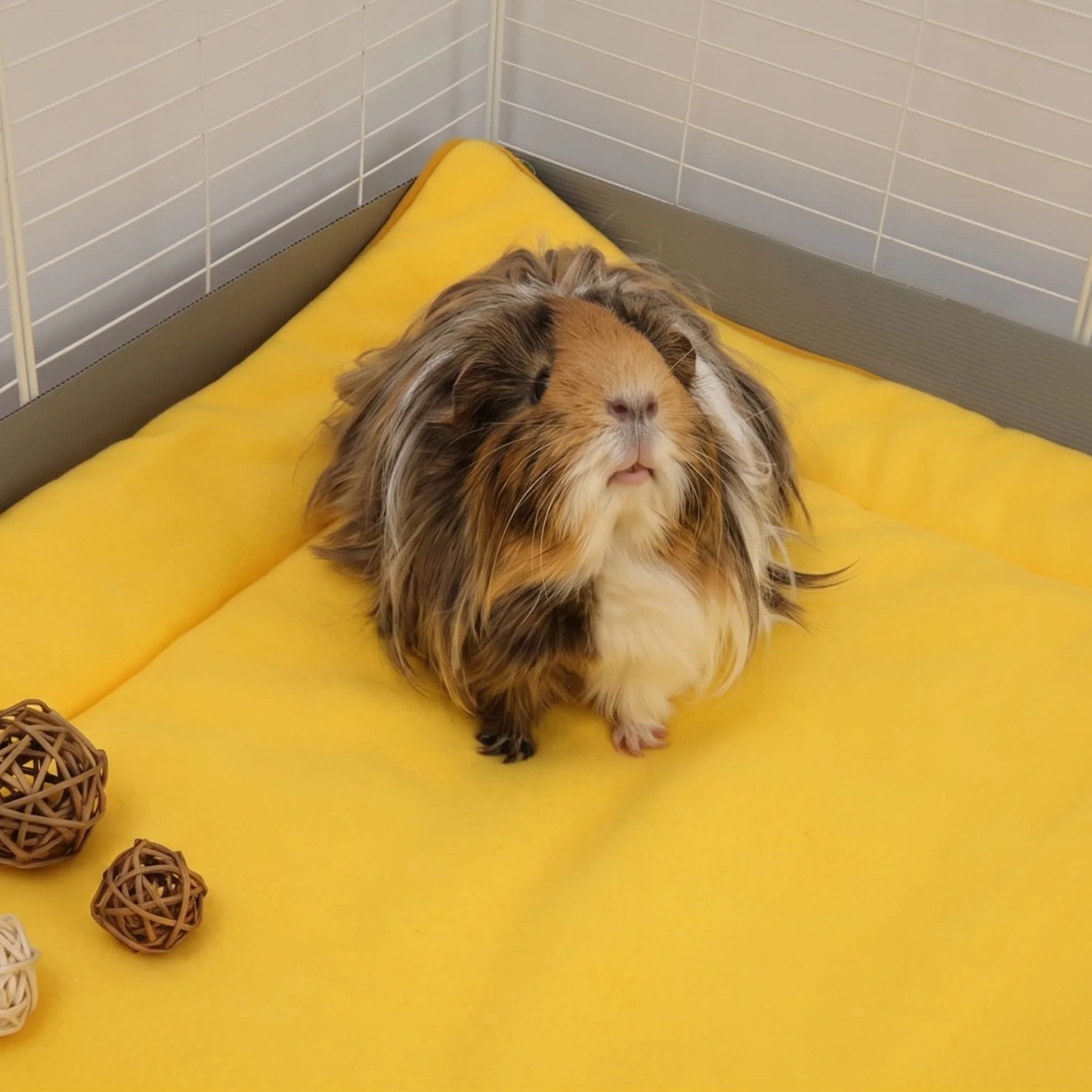 Set of 2 Plush Fleece Liner for Guinea Pigs | Sunflower Collection - Image 11
