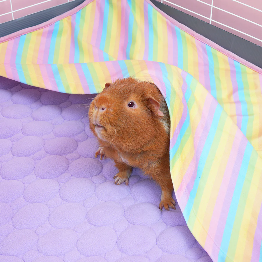 Set of 2 Pocket Fleece Liners for Guinea Pigs | Rainbow Collection - Image 2