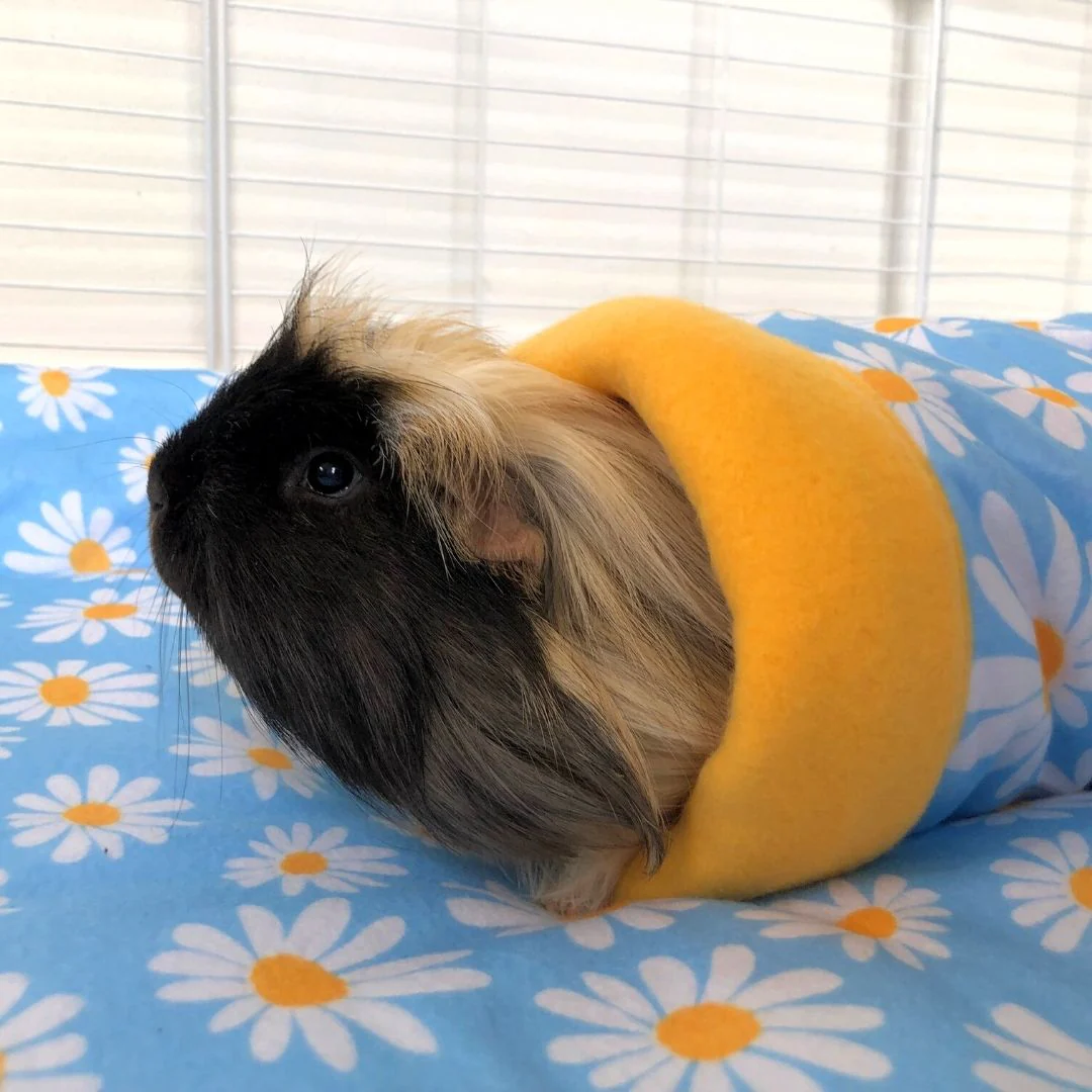 Guinea Pig Tunnel | Daisy Collection - Image 3