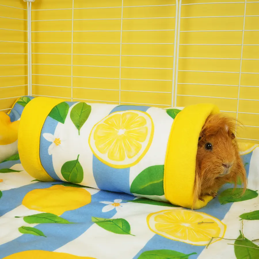 Guinea Pig Tunnel | Amalfi Collection - Image 4