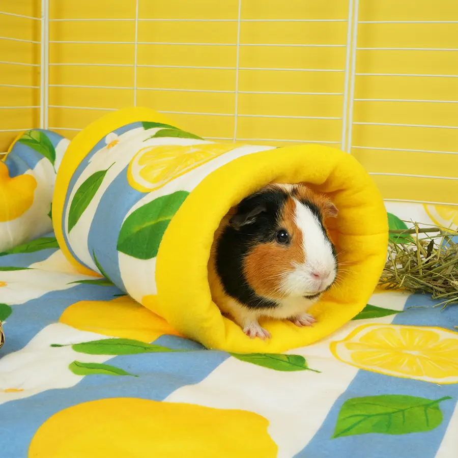 Guinea Pig Tunnel | Amalfi Collection - Image 5